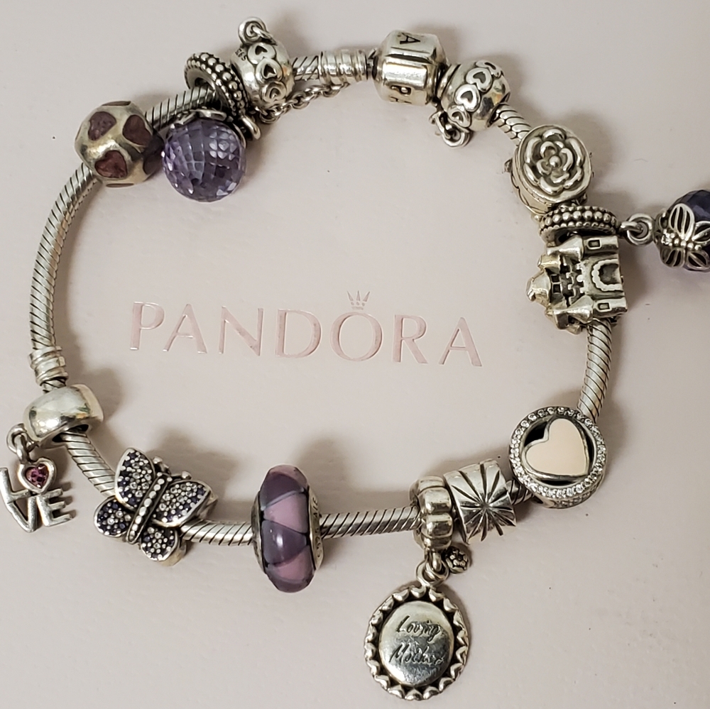 Completed Charm Bracelet with Safety charms